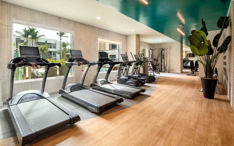 treadmills in a fitness center