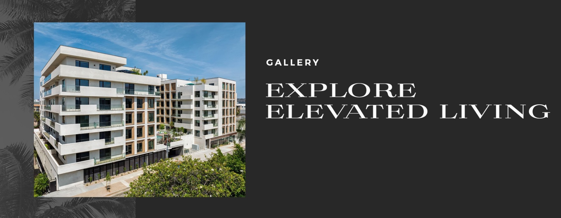 layered graphic of an exterior image over a palm tree texture